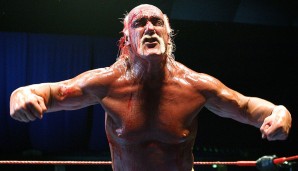 Hulk Hogan ist einer von drei Fightern, die den Royal Rumble zwei Jahre hintereinander für sich entscheiden konnten (1990 & 1991)
