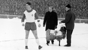 13. Februar 1965 - Heidschnucke Pico, benannt nach Arnold "Pico" Schütz (l.) debütiert als Werder-Maskottchen. Natürlich in Hamburg. Bremen gewinnt 4:0 und wird der zweite Meister der Bundesliga-Geschichte. Vorgänger? Richtig: Der FC mit Geißbock Hennes