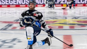 Eishockey, Rekord, DEL, Daniel Pietta, Assist, ERC Ingolstadt