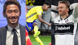 Sieben Spieler hatte Borussia Dortmund in der vergangenen Saison an andere Vereine verliehen. Wie sie sich schlugen und was aus ihnen wird - geklärt ist die Zukunft erst bei zwei.