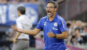 Schalkes Cheftrainer David Wagner war mit mehreren Schiedsrichter-Entscheidungen nicht einverstanden.