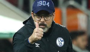 David Wagner ist seit dem Sommer Trainer auf Schalke.