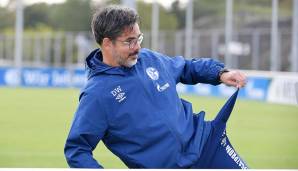 David Wagner haderte mit der finanziellen Situation bei S04.