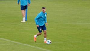 Ibisevic soll künftig für Tore bei den Königsblauen sorgen.