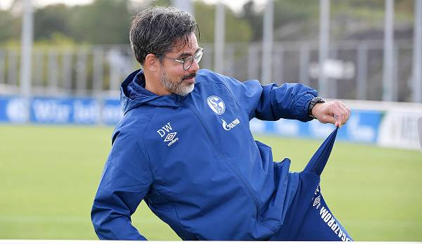 David Wagner haderte mit der finanziellen Situation bei S04.