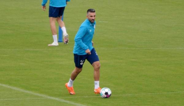 Vedad Ibisevic kam ablösefrei von Hertha zu Schalke.