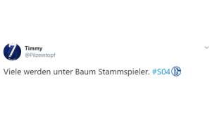 Manuel Baum, FC Schalke 04, Trainer, Netzreaktionen