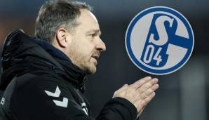 Die heiße Spur der Trainersuche des FC Schalke 04 führt offenbar nach Dänemark zu Alexander Zorniger.