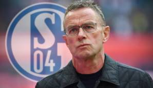 Ralf Rangnick wird nicht neuer starker Mann auf Schalke.