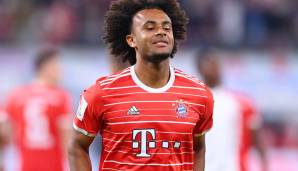 JOSHUA ZIRKZEE: Auch der Wechsel des Bayern-Angreifers zum FC Bologna ist fix. Der Niederländer unterschreibt dort bis 2026. Die Bayern, die eine Ablöse von 8,5 Millionen Euro erhalten sollen, haben eine Rückkaufoption für den 21-Jährigen.