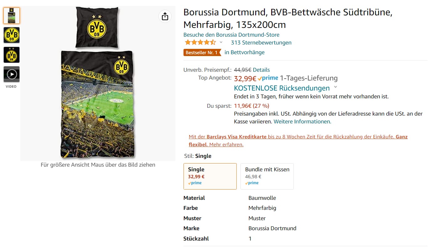 bvb-sued