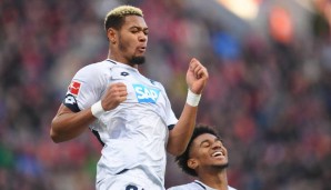 Joelinton, TSG Hoffenheim, Newcastle United