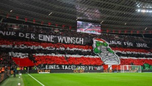 leverkusen-fans