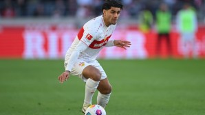 Bundesliga, VfB Stuttgart, Brighton & Hove Albion, England, Premier League, Mahmoud Dahoud