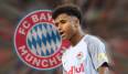Karim Adeyemi steht auf der Wunschliste des FC Bayern und anderer Topklubs.
