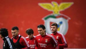 Platz 15 - Benfica Lissabon: Achtelfinale (33 Prozent), Viertelfinale (11 Prozent), Halbfinale (4 Prozent), Finale (unter 1 Prozent), Sieg im Endspiel (unter 1 Prozent)
