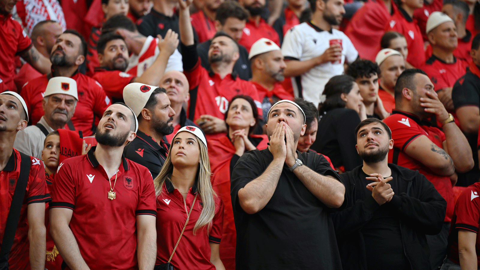 Albanien, Fans