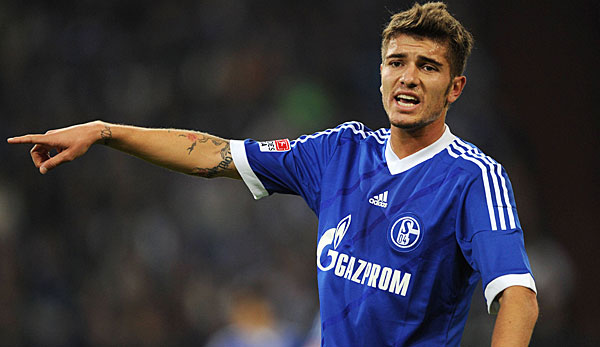 Roman Neustädter hat von 2012 bis 2016 auf Schalke gespielt.