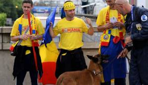Der rumänische Fußballverband hat sich eine besondere Aktion einfallen lassen, um neue Besitzer für Straßenhunde zu finden: Für die restliche Saison werden einige Erstligisten vor den Spielen mit Straßenhunden einlaufen.
