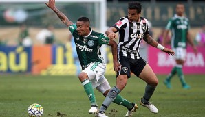 Gabriel Jesus kam im Winter von Palmeiras zu Manchester City