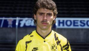 Zum Jahresende 1993 war Karl in Dortmund außen vor, es folgte eine Leihe zu ManCity. Nach Dortmund kehrte er danach nicht mehr zurück. Über den FC Sion landete Karl bei der Hertha, wo er sich als Stammspieler etablierte.