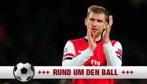 Per Mertesacker winkt nach seinen guten Leistungen ein neuer Vertrag bei Arsenal