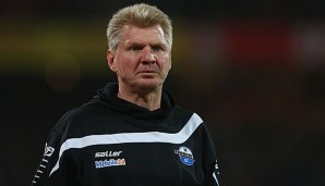 Stefan Effenberg bleibt Trainer von Paderborn