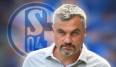 Kann Thomas Reis Schalke 04 aus dem Tabellenkeller führen?