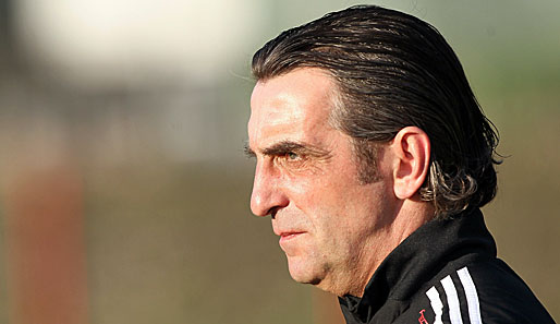 Dynamo Dresden findet keinen neuen Trainer: Nun sagte auch Ralf Minge ab