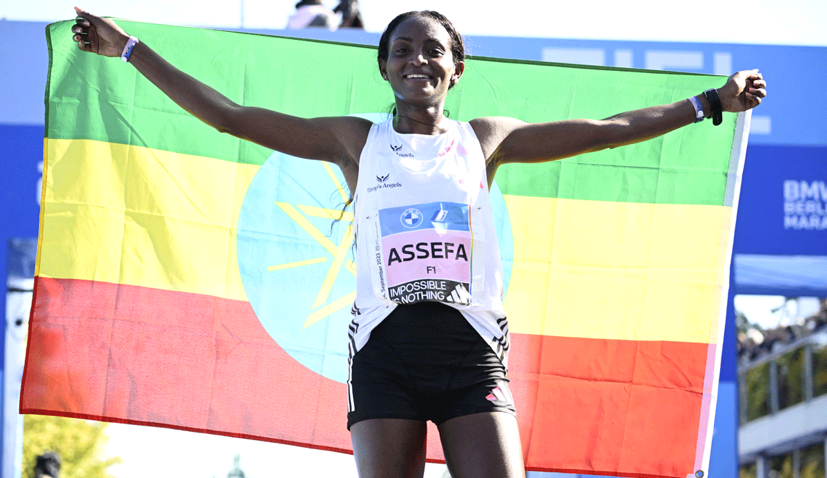 assefa-1200