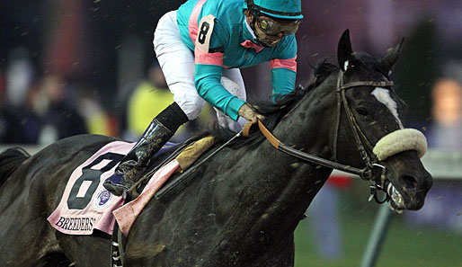 Zenyatta und Jockey Mike Smith wurden beim Breeder's Cup Classic 2010 knapp von Blame besiegt