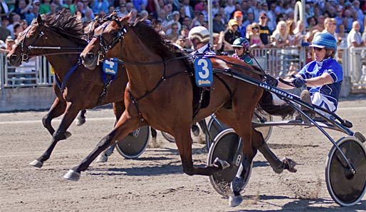 Die Zuschauer in Solvalla erlebten eine Sternstunde des deutschen Trabrennsports