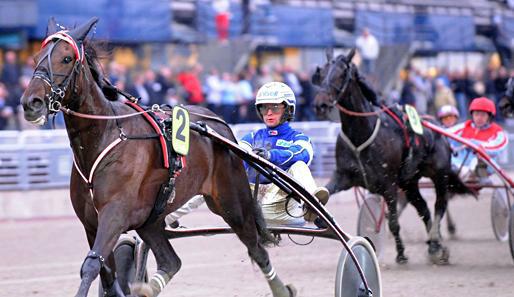 Beim Sweden Cup in Solvalla stehen die Chancen auf einen deutschen Sieg nicht schlecht