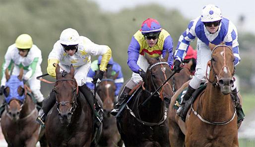 Die Timeform Jury Stakes in Haydock könnten zum Schaulaufen für Regal Parade werden