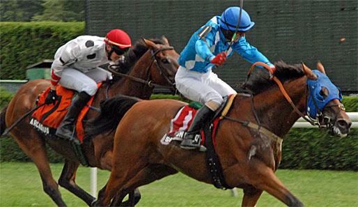 In Jamaica bilden die Quick Call Stakes auf der Saratoga-Rennbahn den Tageshöhepunkt