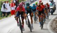 Beim Giro d'Italia 2023 sind 21 Etappen geplant.