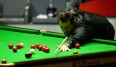 Ronnie O'Sullivan steht bei der Snooker-WM in Sheffield vorzeitig im Finale