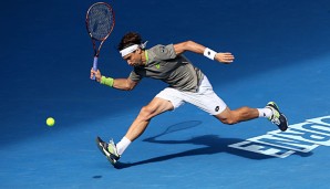 Bei den Australian Open scheiterte Ferrer im Viertelfinale an Thomas Berdych