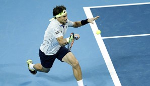 Ferrer musste im Finale gegen Steve Johnson hart kämpfen