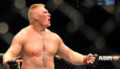 Brock Lesnar verlor zuletzt gegen Cain Velasquez