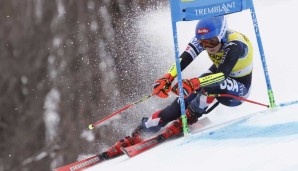 shiffrin-1200