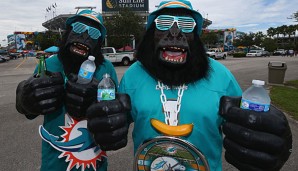 dolphins-fans-600