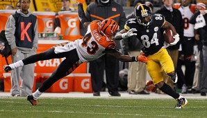 Antonio Brown (r.) und die Steelers sicherten sich den Titel in der AFC North