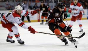 Die Anaheim Ducks treffen auf die Carolina Hurricanes