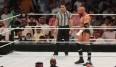 Triple H kämpft im Tag Team mit Shawn Michael.