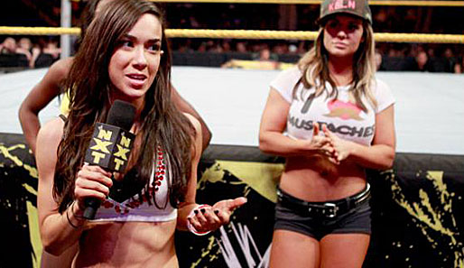 Am 31. August 2010 kamen die WWE-Fans erstmals in den Genuss von A.J. Lee, als sie an der dritten Staffel von NXT teilnahm