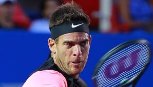 Juan Martin del Potro hatte gegen David Ferrer hart zu kämpfen