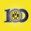 bvb-100