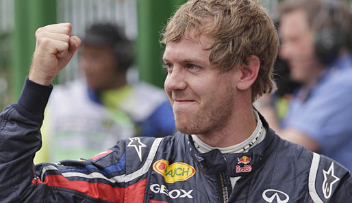 Platz 1: Sebastian Vettel (Red Bull, 241 Punkte)