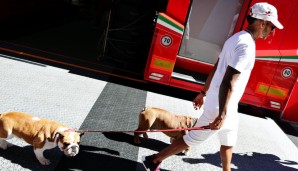 Für Aufmerksamkeit sorgte in Spa auch der Weltmeister: Lewis Hamilton brachte seine Hunde Roscoe und Coco mal wieder mit